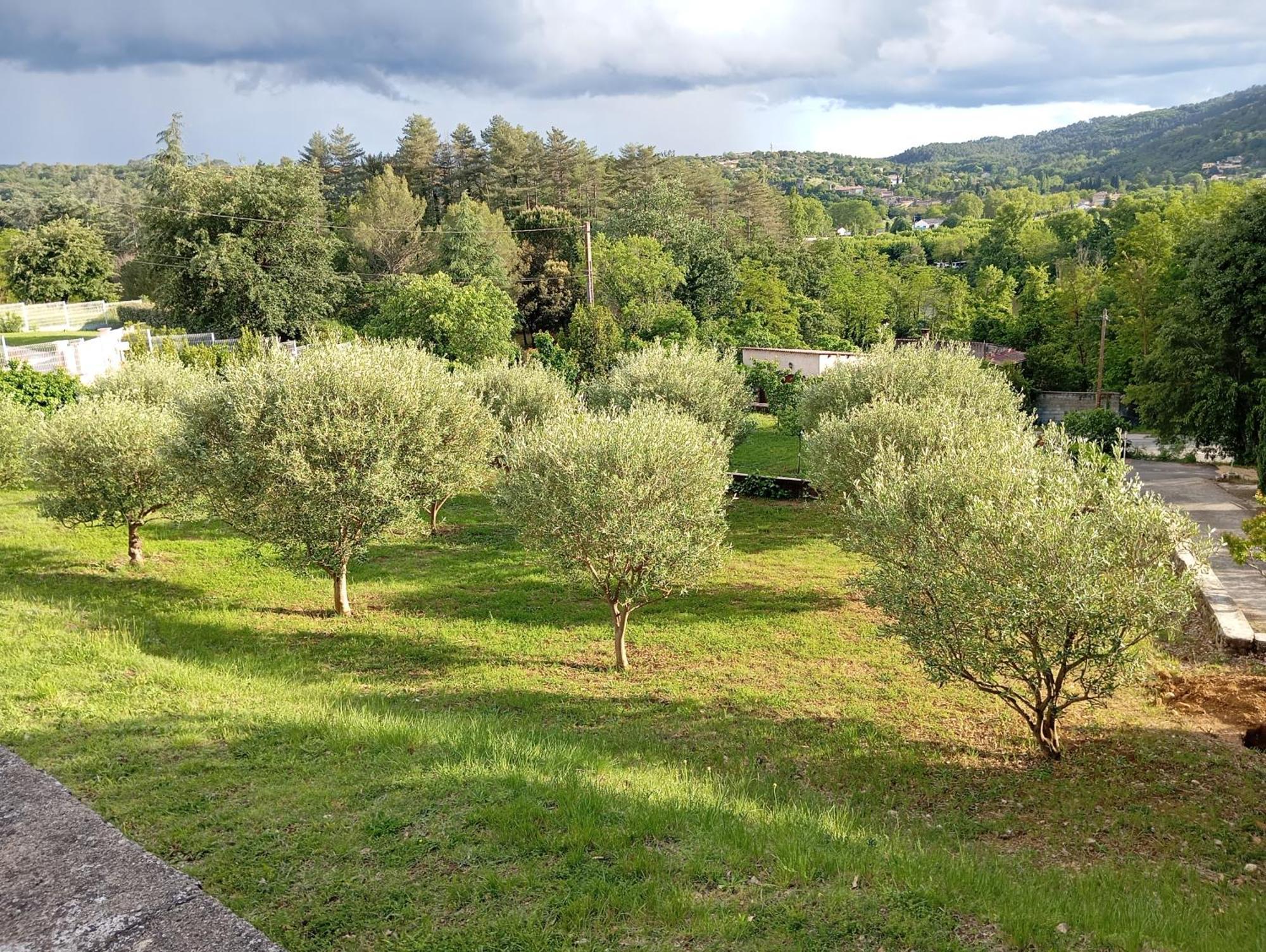 Villa Le Moulin Vallon-Pont-dʼArc Exterior foto