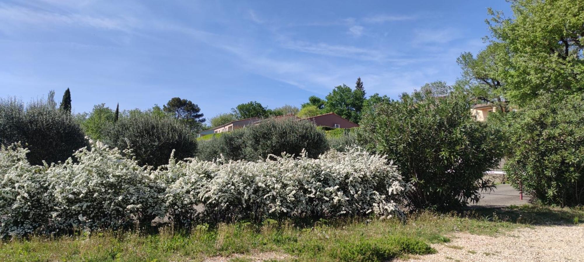 Villa Le Moulin Vallon-Pont-dʼArc Exterior foto
